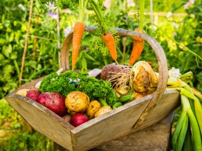 35704302592_84e63e45d3_h